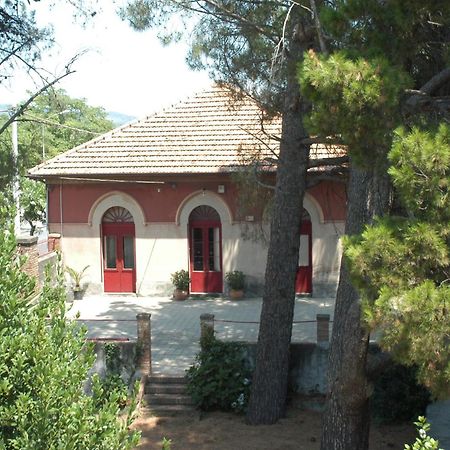 B&B Sotto I Pini Дзаферана Етнеа Екстериор снимка