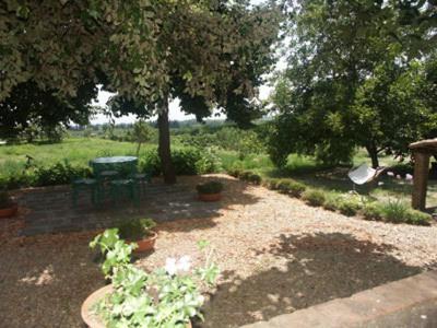 B&B Sotto I Pini Дзаферана Етнеа Екстериор снимка