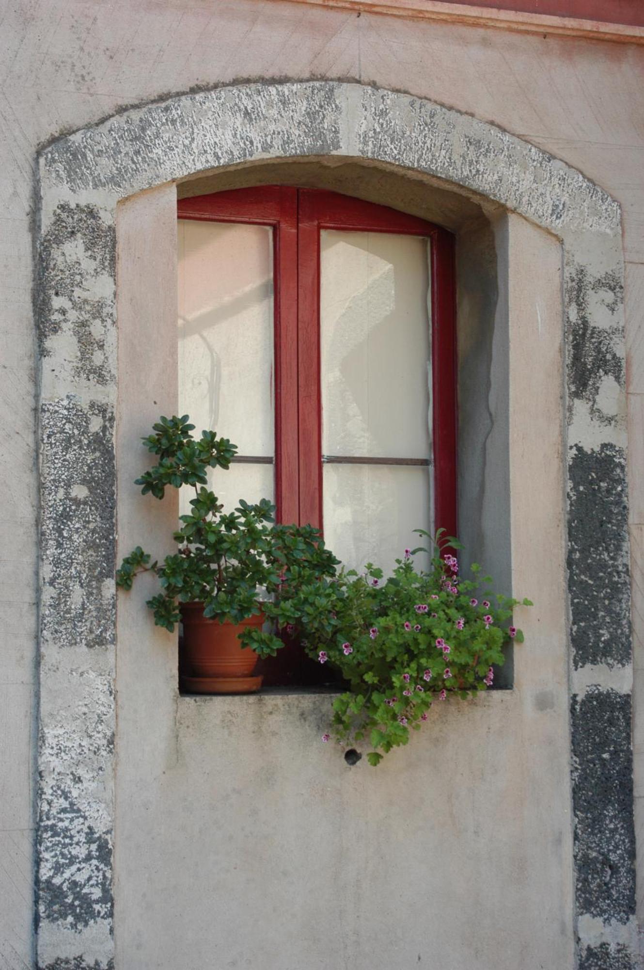 B&B Sotto I Pini Дзаферана Етнеа Екстериор снимка